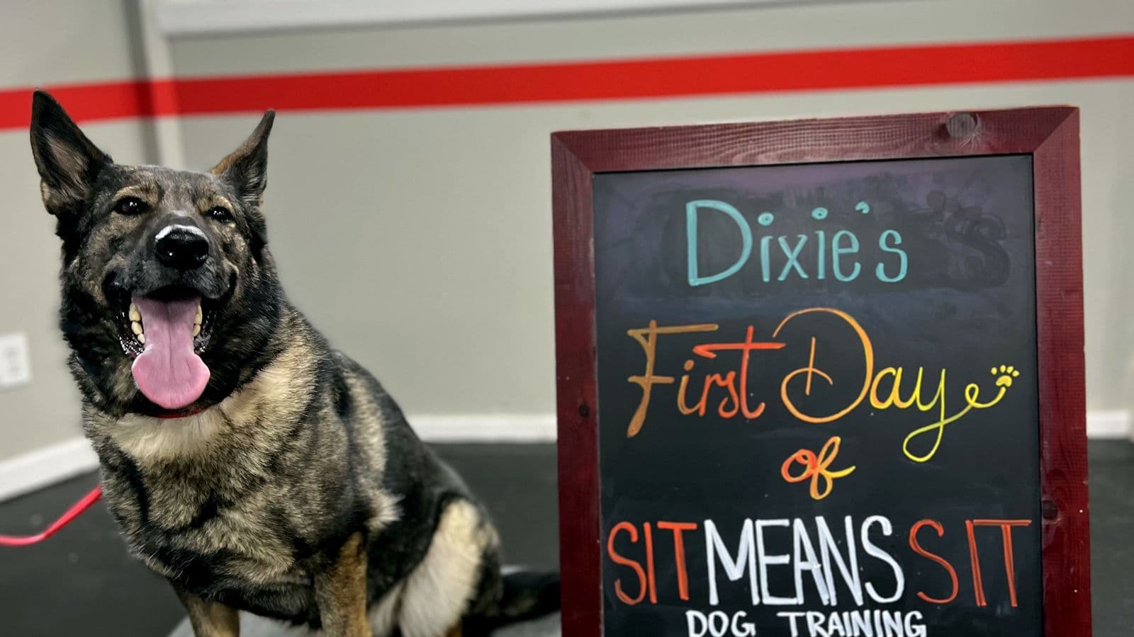 Shepherd beside a “First Day” chalkboard at Sit Means Sit Westchester