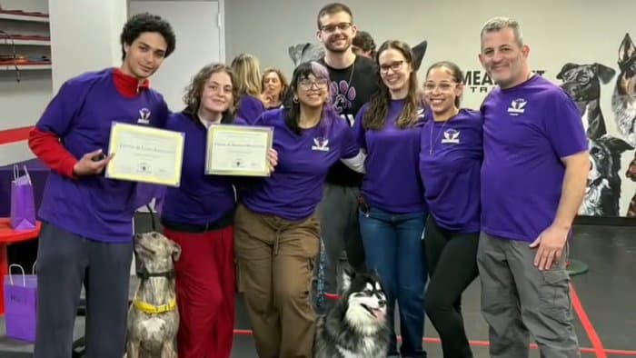 Sit Means Sit Westchester trainers and graduates holding certificates with their dogs at the Valhalla, NY facility